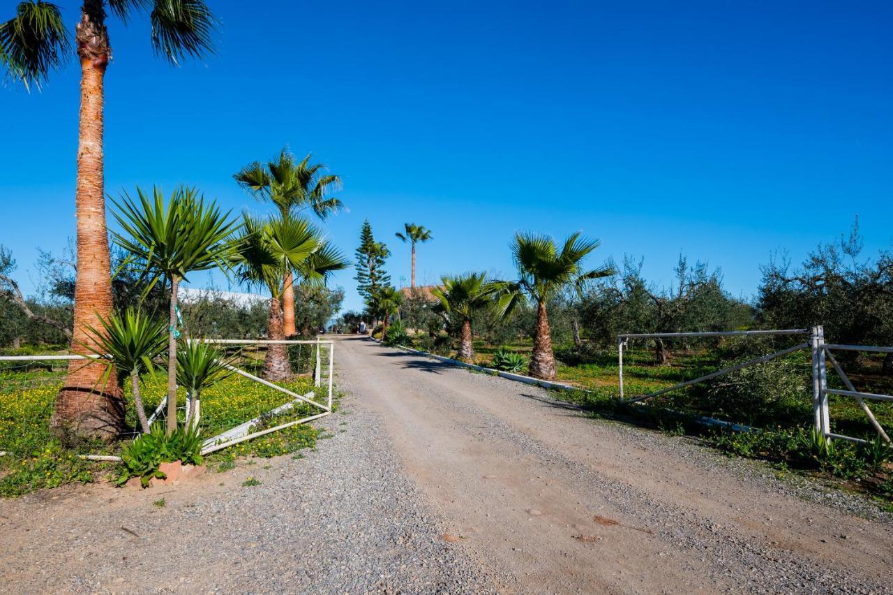El Paraiso Del Olivar Bollullos de la Mitacion Luaran gambar