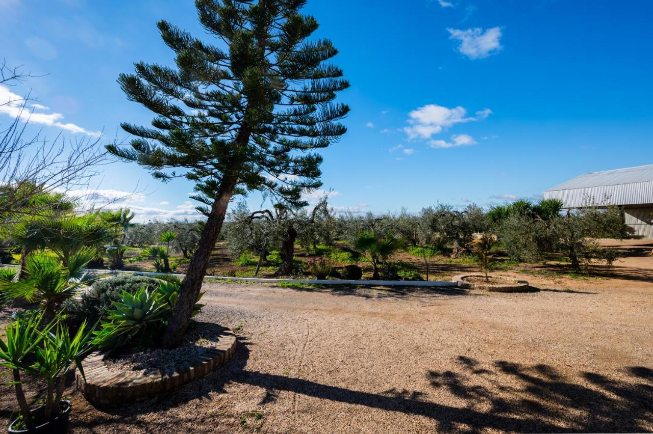 El Paraiso Del Olivar Bollullos de la Mitacion Luaran gambar