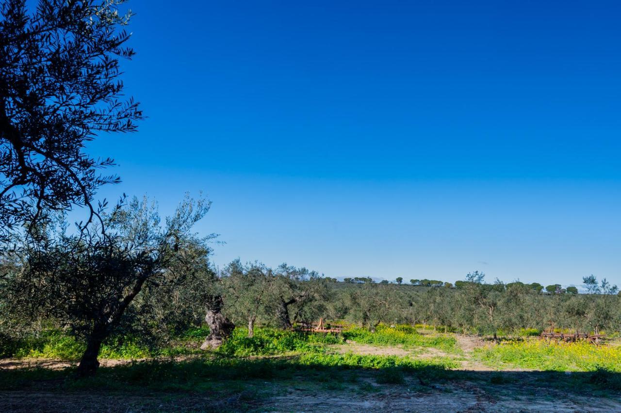 El Paraiso Del Olivar Bollullos de la Mitacion Luaran gambar